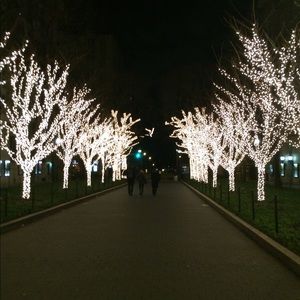 Meet your Posher, Roxanne